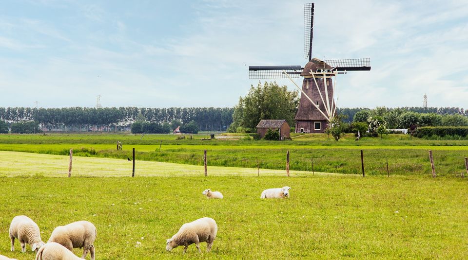 Introductie: wie bestuurt Nederland?